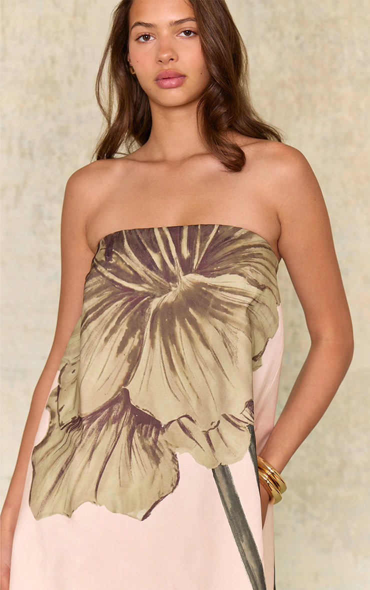 Ecru Floral Printed Bandeau A-line Dress