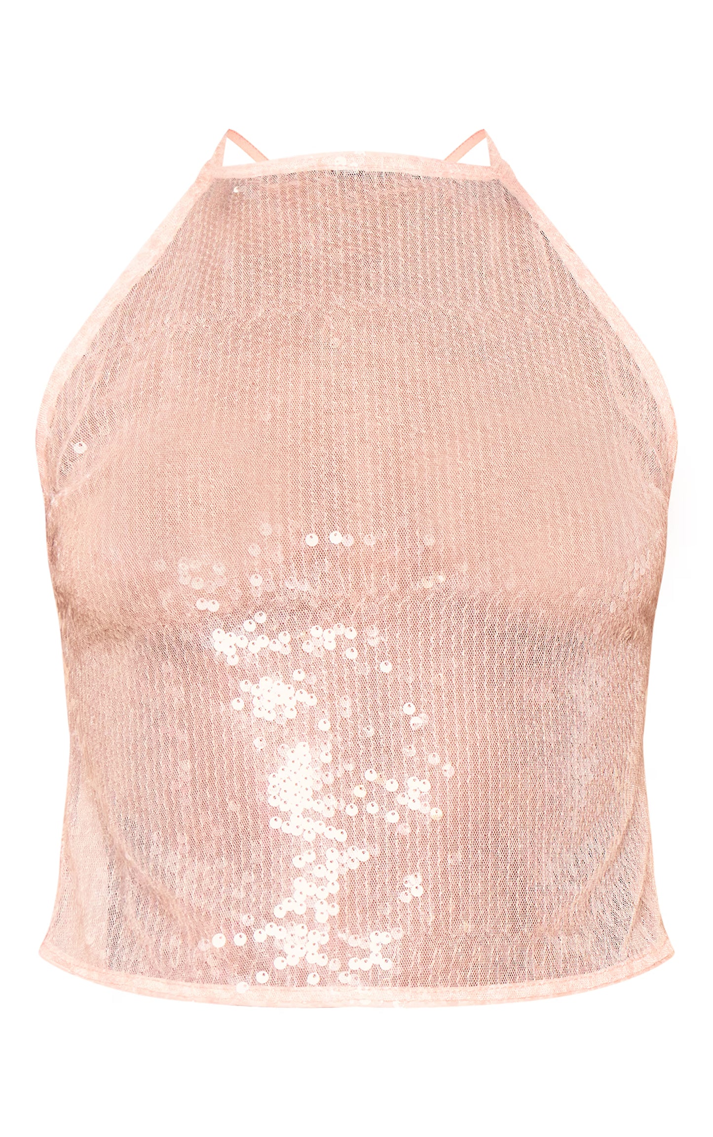 Nude Sheer Sequin Halterneck Longline Top