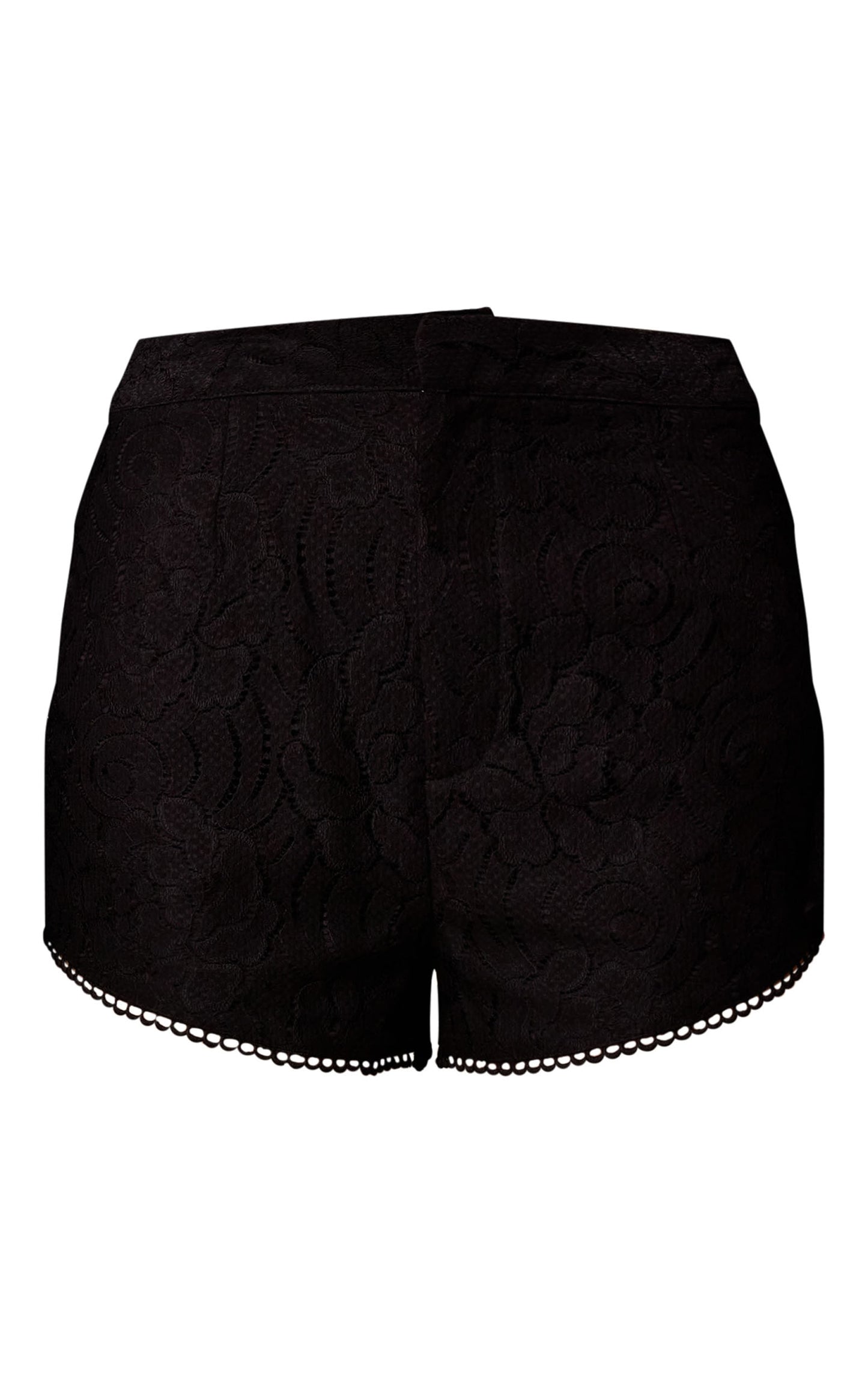 Black Sheer Lace Shorts