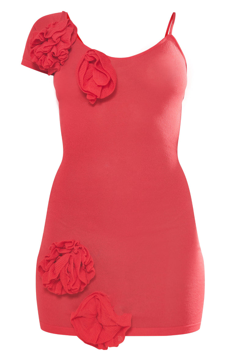 Red Sheer Knit Flower Embellished Dress
