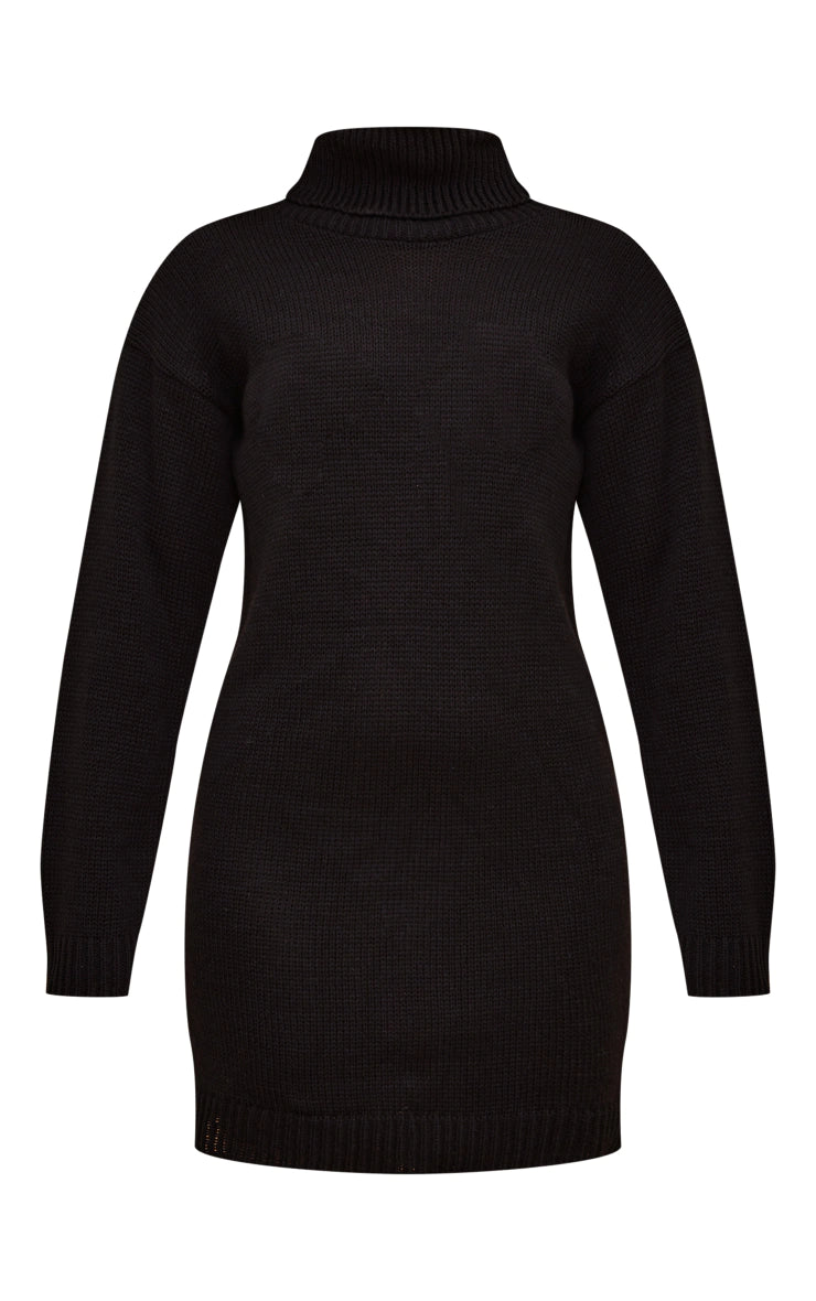 Black Basic Roll Neck Knit Sweater Dress