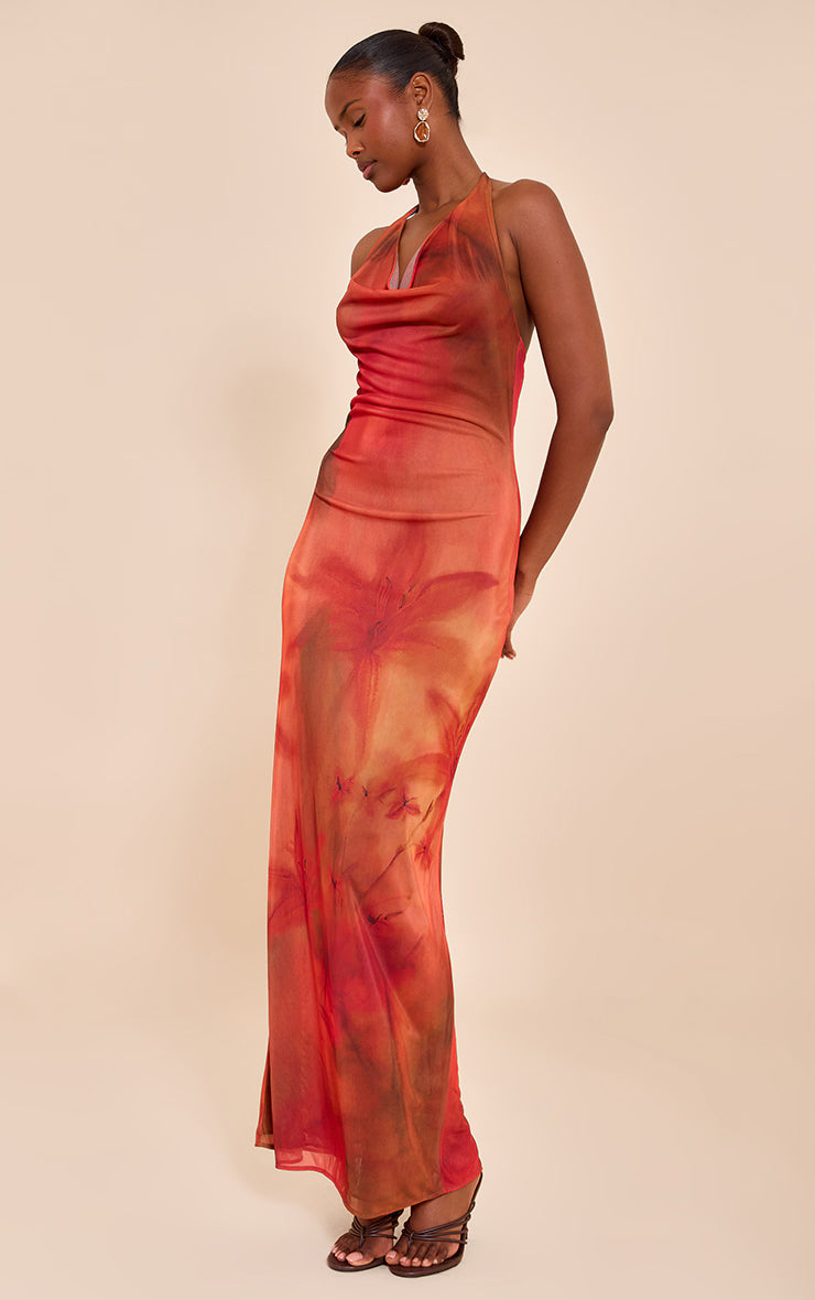 Red Floral Print Halter Neck Plunge Maxi Dress